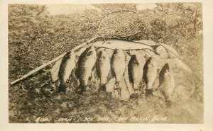c1910 Ontario Canada Camp Billie Bear Fishing Catch RPPC Postcard 25-8872 - Picture 1 of 2