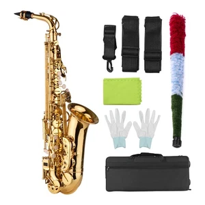 Saxofón alto de latón Eb saxo lacado dorado con estuche para estudiantes principiantes NRFJ - Imagen 1 de 9