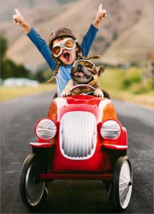 Graduation Greeting Card - Kid & Dog in Go Cart - Picture 1 of 1