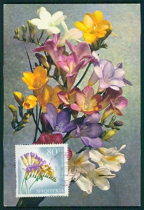 ALBANIEN MK 1967 FLORA BLUMEN FREESIE FLOWERS MAXIMUMKARTE MAXI CARD MC CM bz22 - Picture 1 of 2