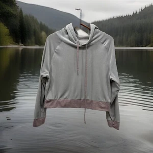 C&C California Women Sweatshirt Hoodie Gray Velour Velvet Y2k size M *Stain - Picture 1 of 9