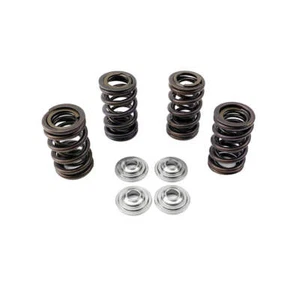 KIBBLEWHITE VENTILFEDERSATZ XR400 96-04, KIBBLEWHITE 30-30085 RACING - Bild 1 von 3