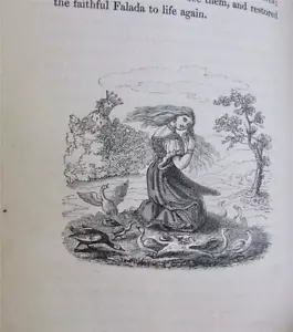 Gammer Grethel, German Fairy tales, Brothers Grimm, 1839, Cruikshank - Foto 1 di 12