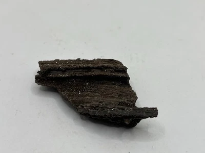 Druzy Fossil Wood Oligocene 35 Million Years From Zewnkau Region Leipzig Germany - Image 1 of 4