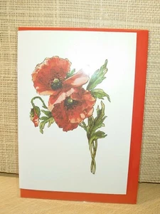 Carte note papavero botanico vintage notelets envs 20 pk con colore stile A6 vuote  - Foto 1 di 5