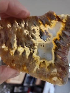Graveyard Point Plume Agate Beautiful Specimen Nice Plumes, Very Hard Material - Picture 1 of 8