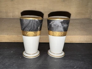 Juego de coctelera de sal y pimienta Noritake Bone China patrón opulencia - Imagen 1 de 2