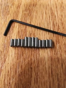 12 Stainless Saddle Height Screws & Hex Key for Fender MIM Strat M3X6mm, M3X8mm  - Picture 1 of 3