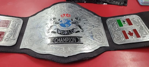 Championship Belt Custom Wrestling Title Wwe Aew Roh Rare Cover