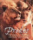Prides: The Lions of Moremi von Harvey, Chris, Kat,... | Buch | Zustand sehr gut