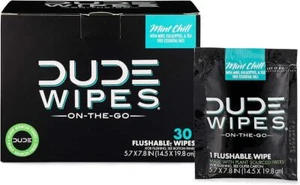 DUDE Wipes-On-The-Go Flushable Wipes 1 Pack, 30 Wipes Mint Chill Extra-Large - Picture 1 of 1