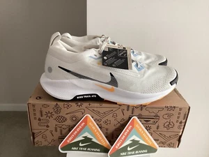 Nike Pegasus Trail 5 Gore-Tex Women’s 11.5 /. Men’s 10 Phantom FQ0912 003 - Picture 1 of 17