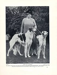 BORZOI DUCHESS OF NEWCASTLE AND DOGS LOVELY ORIGINAL DOG PRINT PAGE FROM 1934 - Picture 1 of 1
