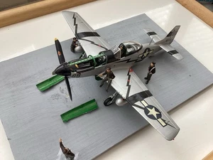 Hasegawa 1/48 US Army Air Force P-51D Mustang gebaut - Bild 1 von 10