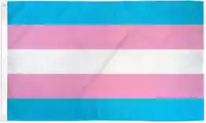 Transgender 3x5ft Poly Flag LGBTQ Transgender Trans He/She They Pride Month Flag - Picture 1 of 4