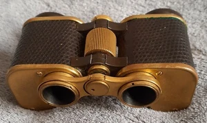 Vintage Cased Carl Zeiss Opera Glasses 3 x 135 - Picture 1 of 10