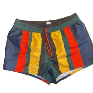 ASOS Swim Shorty Shorts Mens Size Large Elastic Waistband  - Picture 1 of 7