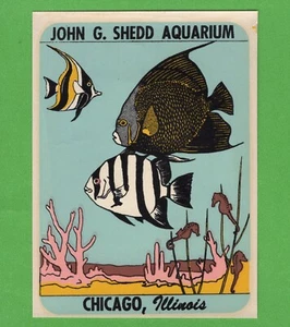 CALCOMANÍA DE AGUA DE COLECCIÓN ORIGINAL 1950 ""JOHN G. SHEDD ACUARIO"" CHICAGO ILLINOIS ARTE - Imagen 1 de 2