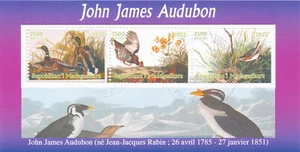 Madagascar 2022 CTO Birds on Stamps John James Audubon Art Ducks 3v M/S III - Picture 1 of 1