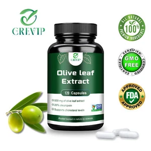 Olivenblatt 500mg - Herzgesundheit, Blutdruckausgleich, Verbesserung des - Bild 1 von 13