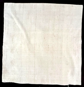 Vintage Jim Thompson Pillow Cover Beige Thai Raw Silk 15-1/2" Sq. A594 - Picture 1 of 4