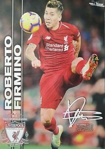 ROBERTO FIRMINO - A3 Poster (42 x 28 cm) - FC Liverpool Fußball Clippings NEU