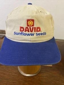 Gorra de béisbol DAVID Sunflower Seeds Logo azul gorra ajustable 🌻 - Imagen 1 de 7