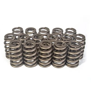 16 Pezzi Molle Valvola LS, Molle Valvola Performance Racing Compatibile con GMC... - Foto 1 di 5