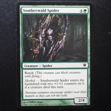 MTG Somberwald Spider, Innistrad 2011