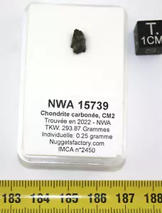 Meteorito Nwa 15739 En Una Caja Condrita Carbon Paño CM2 (0.25 Gramos - 002 **) - Picture 1 of 8