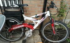 barracuda torsion mountain bike