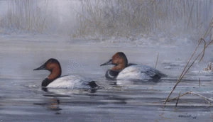 Scott Zoellick Spring Thaw S/N Duck Hunting Art Print 22.5 x 13 - Picture 1 of 1