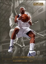 2008-09 SkyBox Basketball #30 Josh Howard