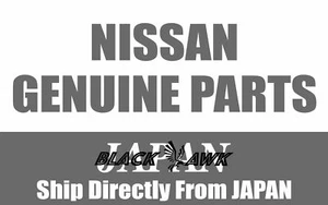 OEM NISSAN 68410AA010 FINISHER INSTRUMENT 68410-AA010 - Picture 1 of 1