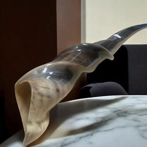 Un enorme shofar de cuerno Eland tamaño grande nuevo pulido 23" 58 cm sonido increíble de Israel - Imagen 1 de 21