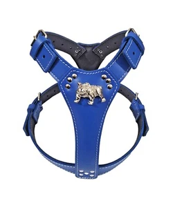 Unique Royal Blue Leather Dog Harness Large with English Bulldog Badge - Picture 1 of 1