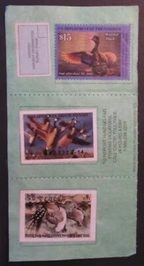 RW67 - 2000 Federal Duck Stamp on California Hunting License - Picture 1 of 2