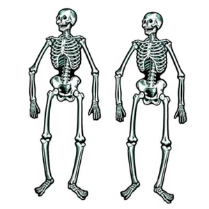 Jointed Skeletons - 22" - Picture 1 of 7
