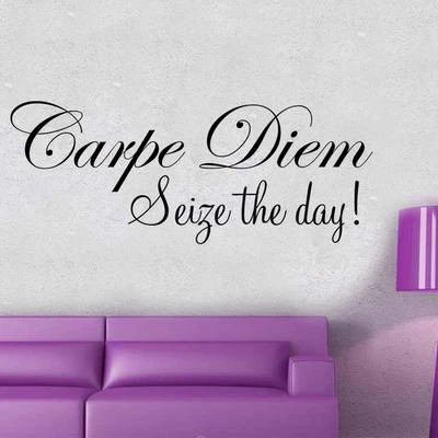 Carpe Diem Seize the day! wall sticker art quote BEDROOM DECAL - Image 1 of 2