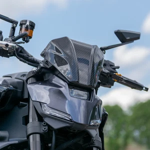 Pyramide Fliegengitter Windschild Kohlefaser Yamaha MT-09 inkl. SP 2024 - 2026 - Bild 1 von 12