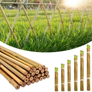4ft-6ft-7ft-8ft Large Bamboo Canes Thick Strong Garden Canes Plant Support Pole - Picture 1 of 14