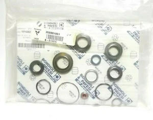 Vermeer 268881001 268-881-001 Bondioli & Pavesi HP486221901R Pump Repair Kit - Picture 1 of 2