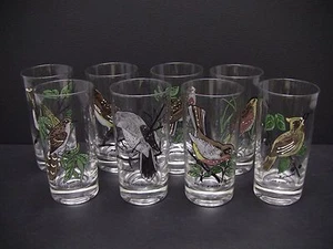 8 vasos Highball Firmados por Bernard pintados a mano para aves de las Américas - Imagen 1 de 7