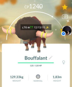 Pok&eacute;mon - Shiny Bouffalant - P T C have 80k stardust - See Description
