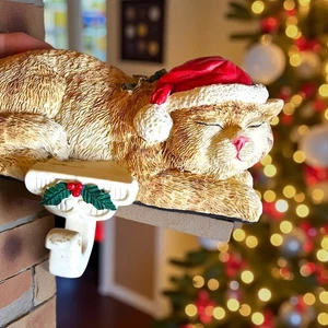 Gatto Tigre Arancione Dormiente con Cappello Babbo Natale Cappotto di Natale Porta Calze 6 in  - Foto 1 di 7