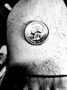 2015 Homestead Quarter Multiple Errors - Picture 1 of 8