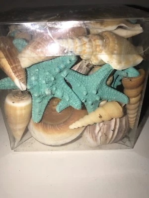 Yankee Candle Decorative Fill STARFISH &  SEASHELLS New In Box - Image 1 of 4