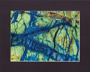 8X10" Matted Print Art Picture Rock Inside Cut Stone: Chrysocolla - Picture 1 of 2