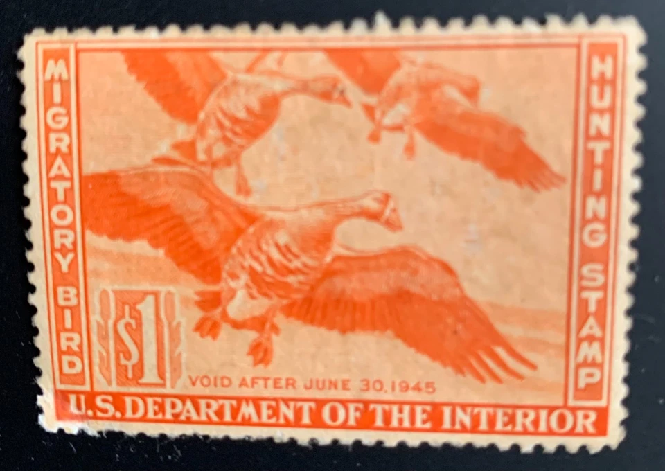 Rare U.S. Federal Duck Hunting Stamp from 1944 Scott #RW11 "Geese"  XF Condition - Image 1 of 1