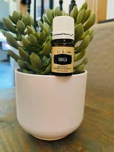 Young Living Essential Oil VANILLA 5ml - Picture 1 of 1